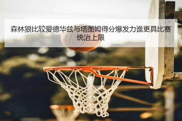森林狼比较爱德华兹与塔图姆得分爆发力谁更具比赛统治上限